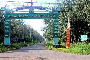 Giải phóng mặt bằng Sân bay quốc tế Long Thành: có thể thu hồi đất ngay trong năm 2018