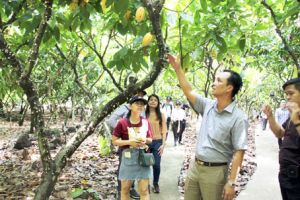 Tour kết nối du lịch vườn - rừng