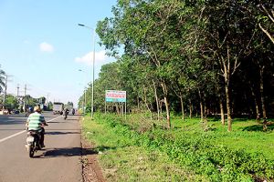 Phát triển cụm công nghiệp ở nông thôn: “Dùng dằng” với đất cao su