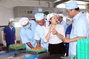 ​Tạo sức bật mới trong phát triển nông nghiệp, nông thôn