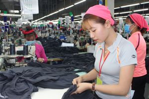 Thu hút vốn FDI đạt trên 90% kế hoạch năm