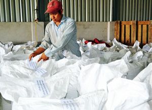 Nâng tầm hợp tác xã nông nghiệp