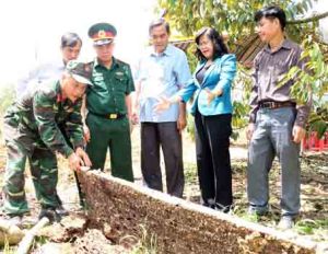 Tổng kết 5 năm thi hành Pháp lệnh ưu đãi người có công với cách mạng (2013-2017): Tri ân người có công…