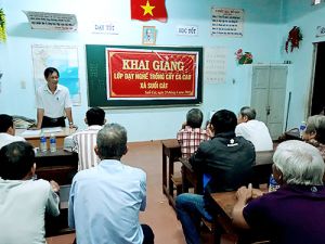 Thêm nhiều cơ hội cho người lớn tuổi tham gia học tập