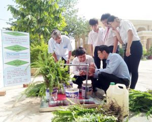 ​Sân chơi trí tuệ bổ ích
