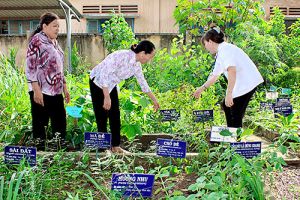 Trạm y tế xã Lộ 25 (huyện Thống Nhất): Điểm sáng trong chăm sóc sức khỏe nhân dân