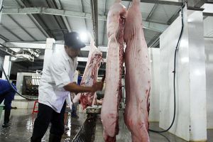 Góp phần bảo đảm an toàn vệ sinh thực phẩm