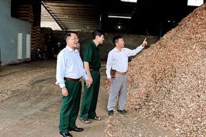 Hội Doanh nhân Cựu chiến binh tỉnh Đồng Nai: Gắn phát triển kinh tế, xây dựng Hội vững mạnh với các hoạt động xã hội