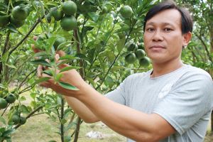 ​Bám rẫy lập nghiệp