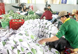 ​Trái cây Đồng Nai: Chưa có nhiều thương hiệu mạnh