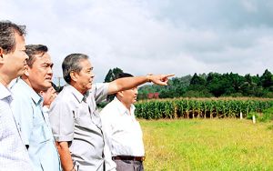 Tập trung phát động toàn dân xây dựng cảnh quan nông thôn mới sáng - xanh - sạch - đẹp