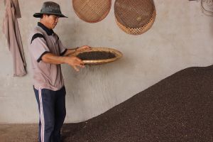 ​Giá hạt tiêu tiếp tục chạm đáy