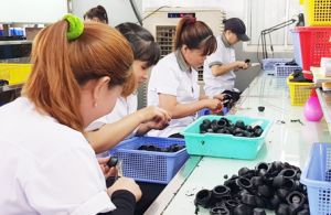 ​Chủ động tạo nghề cho người dân vùng dự án