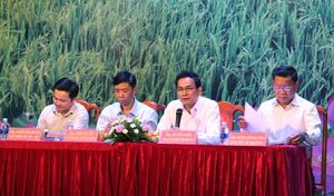​Xây dựng các chính sách về hỗ trợ phát triển nông nghiệp, nông thôn
