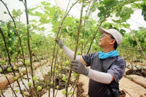 Để khởi nghiệp không chỉ là phong trào
