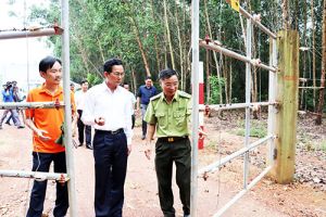Bảo vệ đàn voi rừng bằng hàng rào điện tử: Mang lại hiệu quả bước đầu