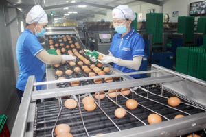 Xây dựng nông thôn mới kiểu mẫu ở Xuân Lộc