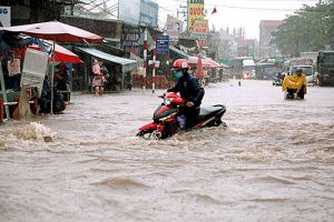 Chủ động ứng phó với thiên tai