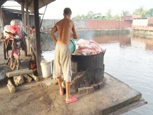 ​Bắt quả tang cơ sở giết mổ heo chết