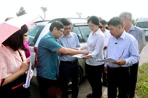 Giám sát các dự án đầu tư công