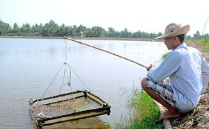 Thay đổi phương thức sản xuất để thích ứng với biến đổi khí hậu