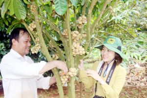 ​Đại hội Hội Nông dân tỉnh Đồng Nai lần thứ IX, nhiệm kỳ 2018-2023: Nông dân làm chủ