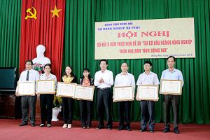 Thị trường vẫn là điểm yếu trong sản xuất nông nghiệp