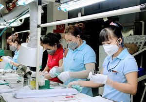 “Gặt hái” thành công, doanh nghiệp FDI mở rộng sản xuất