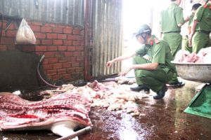 Mạnh tay với chiêu trò gian dối của lái heo