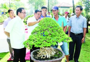 ​80 nhà vườn tham gia Chợ phiên sinh vật cảnh lần 7