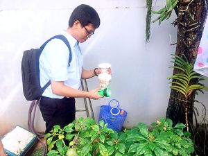 TP. Biên Hòa: Tích cực phòng, chống sốt xuất huyết