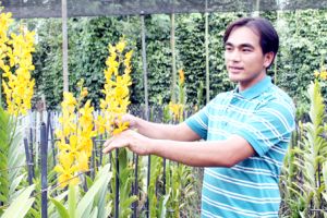 ​Bỏ phố, làm thuê để học trồng hoa lan