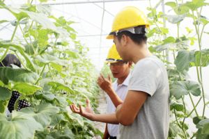 Nông dân thời hội nhập