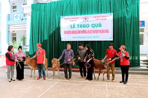 Đoàn Hội Chữ thập đỏ tỉnh tặng quà cứu trợ tại tỉnh Sơn La