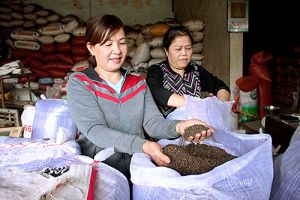 Nâng cao sức cạnh tranh cho nông sản Đồng Nai