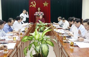 ​Sẽ đấu giá 17 khu đất “vàng” tại Biên Hòa và Trảng Bom