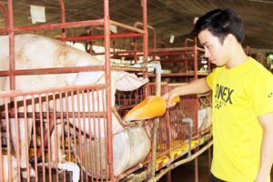 ​Sẽ siết chặt các quy chuẩn trong chăn nuôi