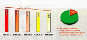 ​Chỉ giữ lại đất lúa hiệu quả