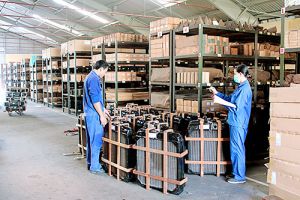 An toàn lao động để phát triển bền vững