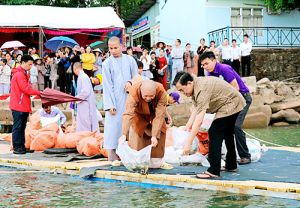 Thả 70.000 cá giống xuống hồ Trị An