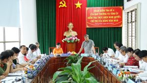 ​Tỉnh ủy kiểm tra thực hiện Nghị quyết, Chỉ thị của Đảng năm 2018 tại các địa phương