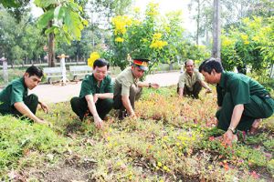Hiệu quả từ phong trào thi đua “Cựu chiến binh gương mẫu”