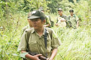 Thành quả sau hơn 20 năm đóng cửa rừng