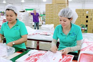 Chú trọng xây dựng quan hệ lao động hài hòa