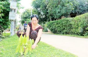 ​Góp sức nhỏ làm đẹp cho đời