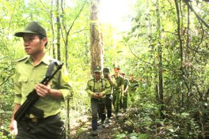 ​Thầm lặng những người giữ rừng