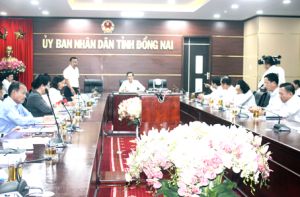 ​Tất cả địa phương của Đồng Nai đều đạt chuẩn nông thôn mới