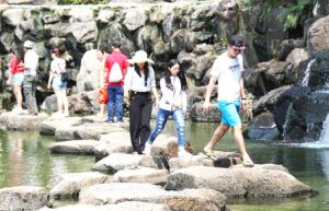 ​Du lịch tết đắt khách