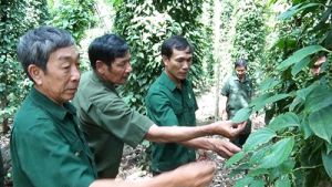 Cựu chiến binh làm kinh tế giỏi