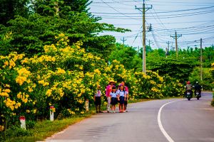 Về Thọ An, “miền quê đáng sống”